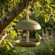 Bird Foodstation - Hotty