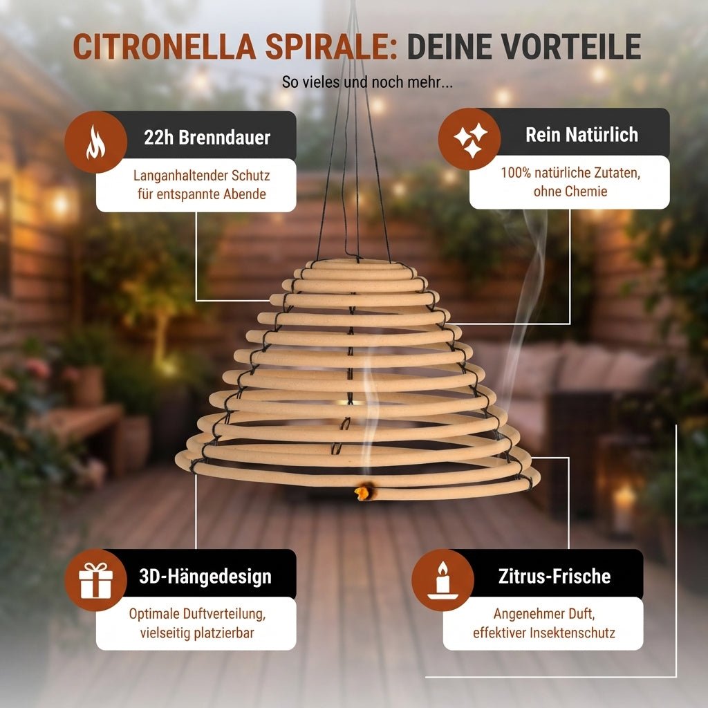 Citronella Spirale - Hotty