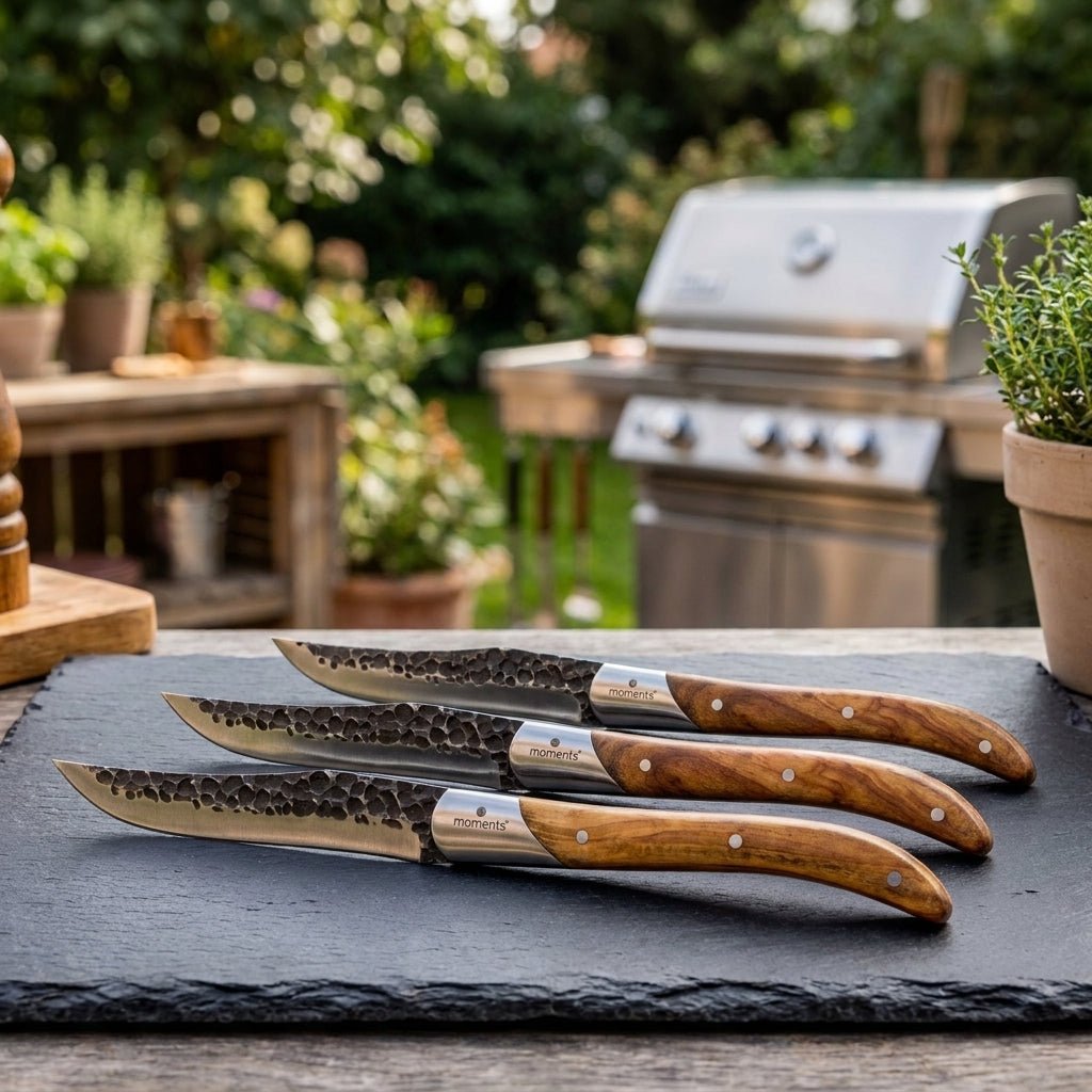 Steakmesser 4er Set - Hotty
